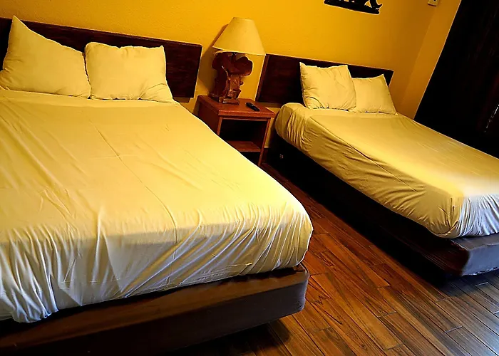 The Canyon & Rv Park Motel 3*