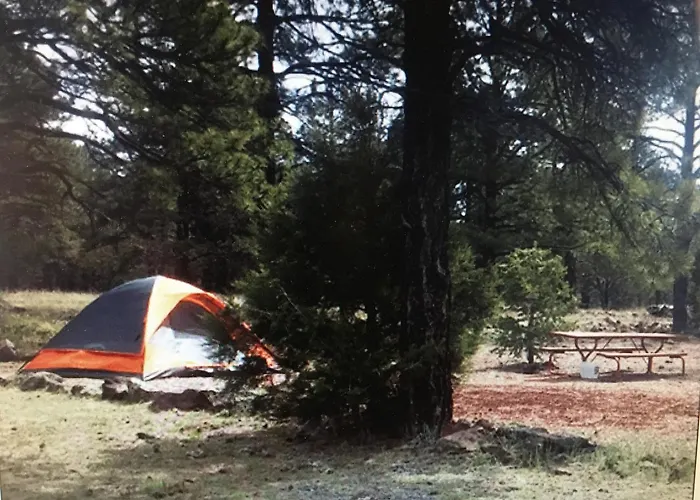 The Canyon & Rv Park